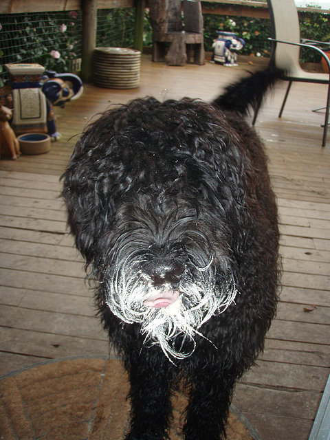 Fonzie finds the flour bowl