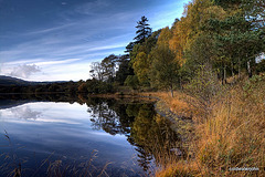 Autumn in Glen Affric - HDR