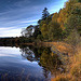 Autumn in Glen Affric - HDR