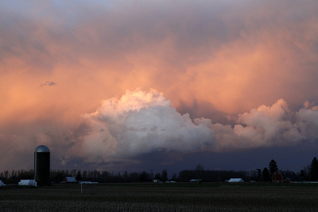 Winter Skies