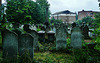 jewish cemetery, kingsbury rd, london