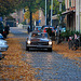 1967 Mercedes-Benz 250 SL in the autumn