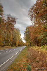 Autumn Journey down country lanes...