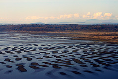 Bellingham Bay at Low Tide