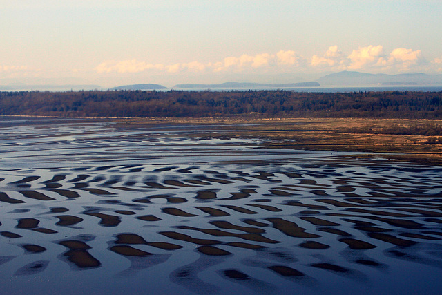 Bellingham Bay at Low Tide