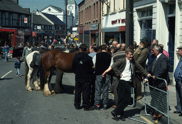 Old Ireland: the Ballyclare Horse Fair