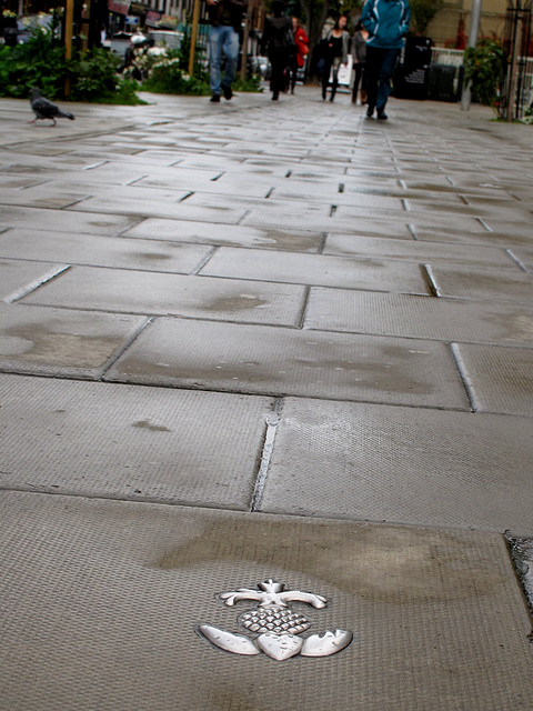 Pavement Token