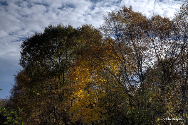 Autumn in Glen Affric - HDR