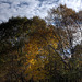 Autumn in Glen Affric - HDR