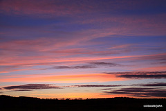 Dusk colours on the pond - 19 January