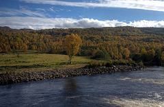 Autumn in Glen Affric - HDR