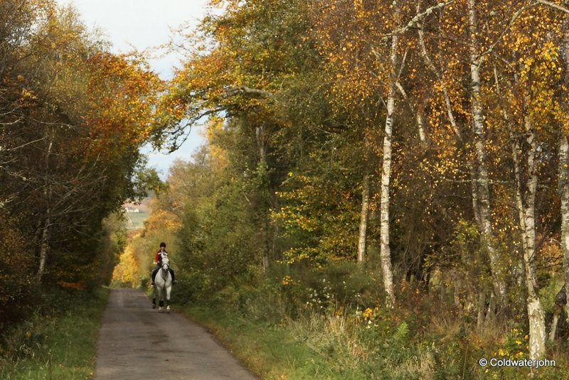 Autumn Journey down country lanes...