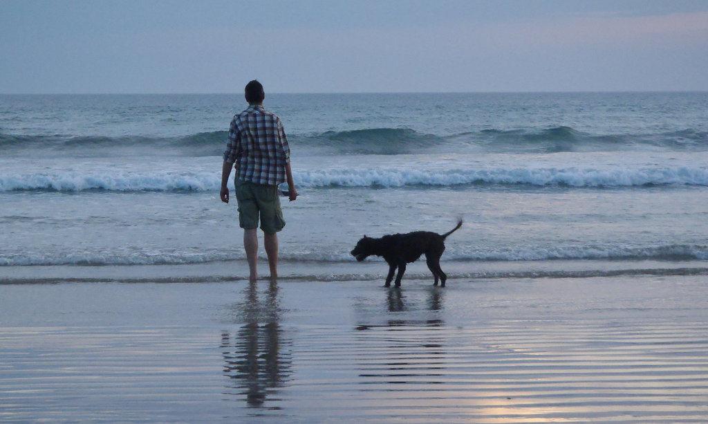 summer evening on the beach