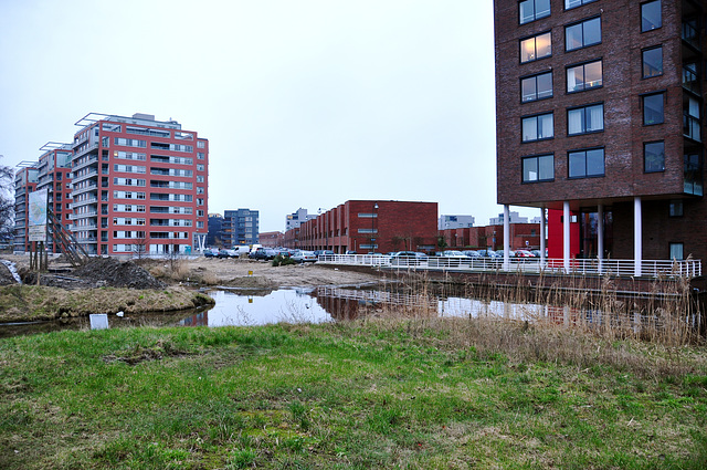 New neighbourhood Roomburg