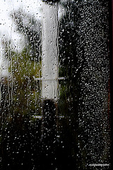 Rainy Days and Mondays 5158209256 o