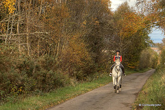 Autumn Journey down country lanes...