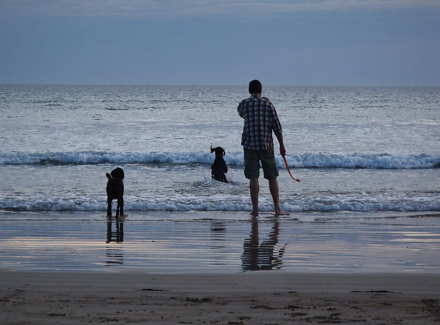 summer evening on the beach