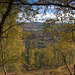 Autumn in Glen Affric - HDR