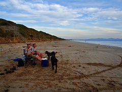 evening picnic on the beach