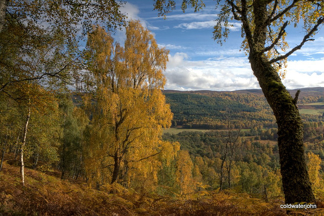 Autumn in Glen Affric - HDR 4015924651 o