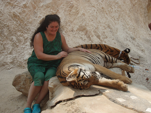 tiger patting