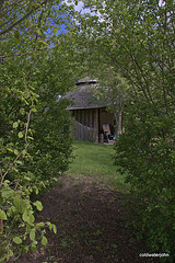 Hawthorn Arch - Spring