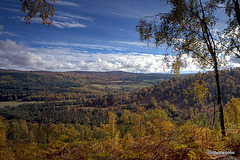 Autumn in Glen Affric - HDR