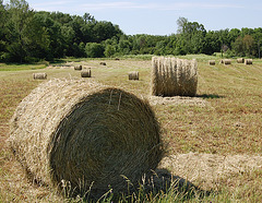 Round Bales