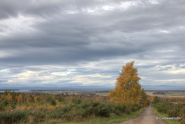 Autumn Journey down country lanes...