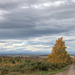 Autumn Journey down country lanes...