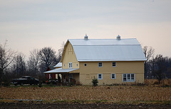 Yellow Barn House