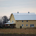 Yellow Barn House