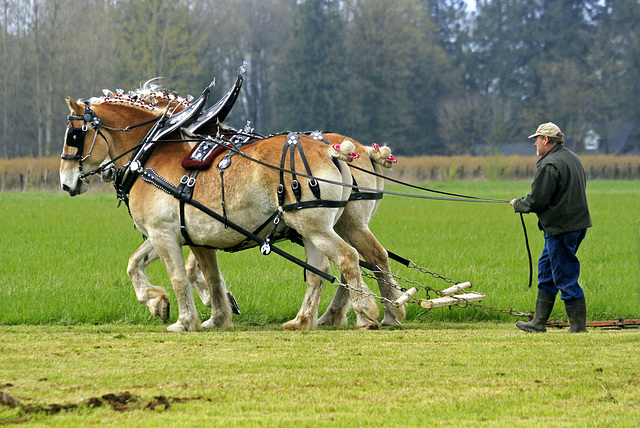 International Plowing Competition