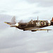Spitfire Vb AR501/ G-AWII