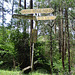 Grand Ridge Road, Strzelecki State Forest