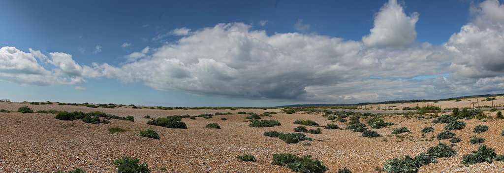 Rye Harbour LNR