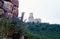 L'Ortenbourg vu du Ramstein