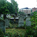 jewish cemetery, kingsbury rd, london