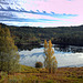 Autumn in Glen Affric - HDR