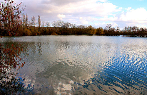 serenity