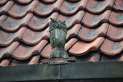 Owl ornament on the Nieuwe Uilenburgerstraat in Amsterdam