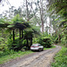Grand Ridge Road - Strzelecki State Forest