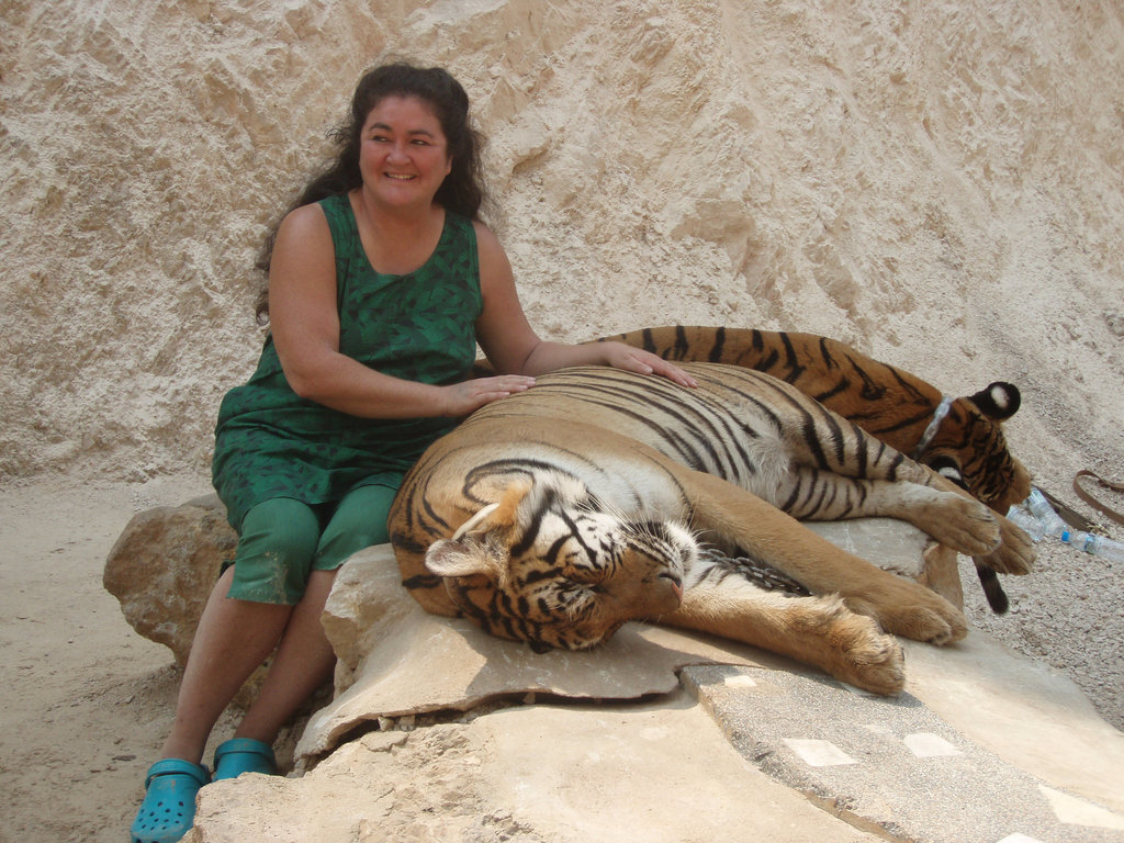 tiger patting