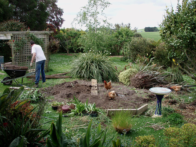 putting in the raised vegie beds