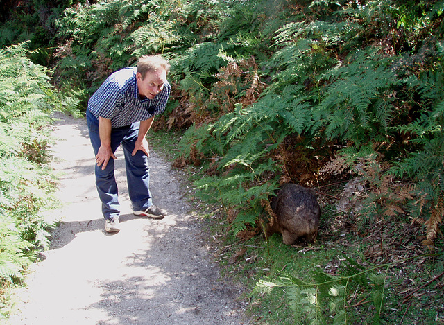 Trevor and wombat