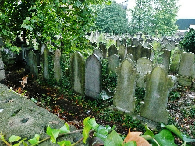 jewish cemetery, kingsbury rd, london