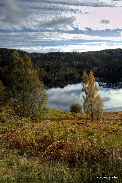 Autumn in Glen Affric - HDR