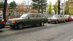 Mercedes-Benz W123 in Vienna