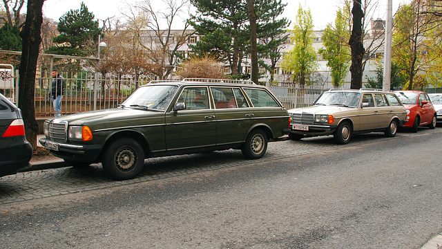 Mercedes-Benz W123 in Vienna