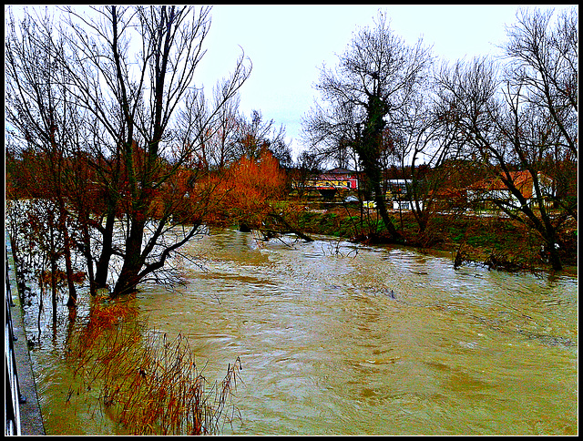 Pamplona: río Arga